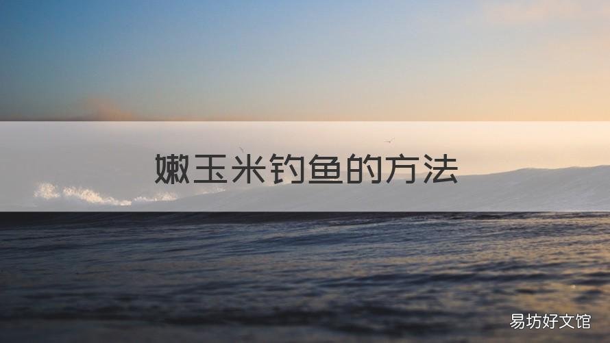 嫩玉米钓鱼的方法 嫩玉米怎样钓鱼