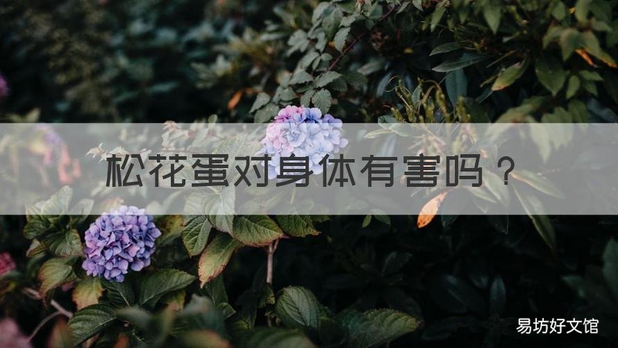 松花蛋对身体有害吗 松花蛋对人身体健康有害吗