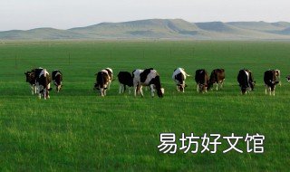 购买美国牧场注意什么 购买美国牧场注意什么问题