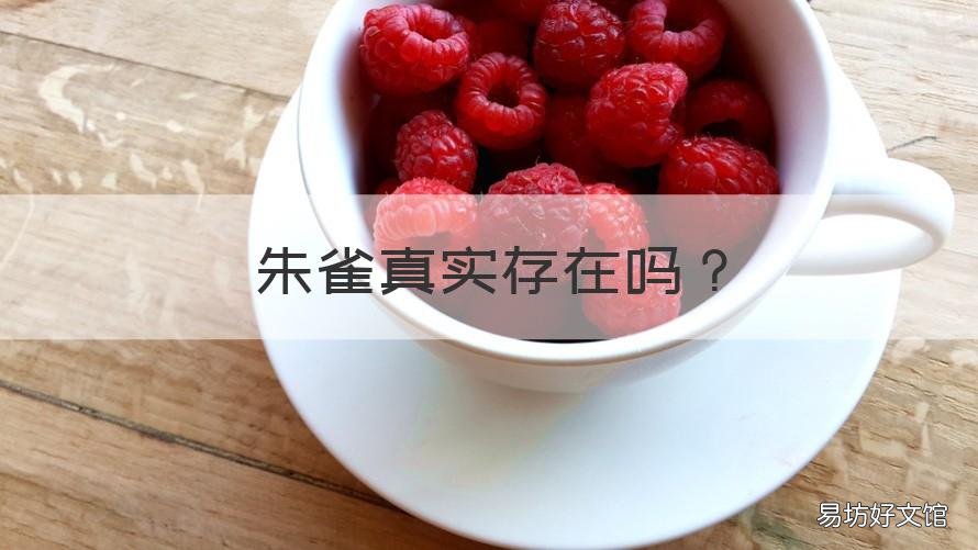 朱雀真实存在吗 朱雀为什么