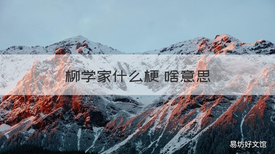 柳学家什么梗 啥意思