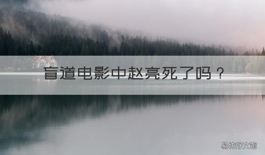 盲道电影中赵亮死了吗 盲道电影内容结局