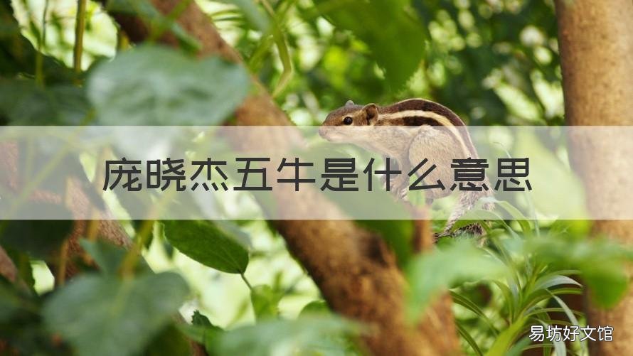 庞晓杰五牛是什么意思