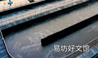 污水处理中什么是反硝化 污水处理中的硝化和反硝化