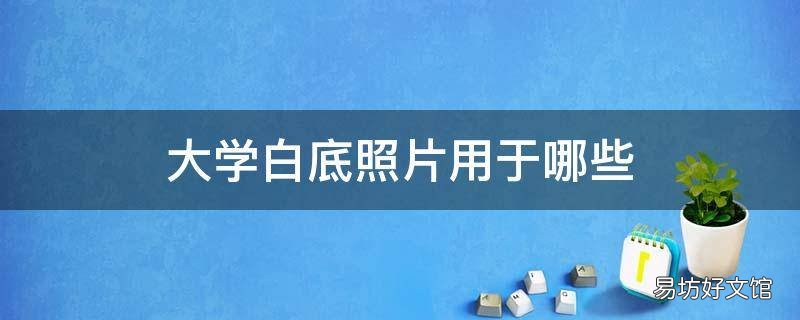 大学白底照片用于哪些 大学照片白底可以吗