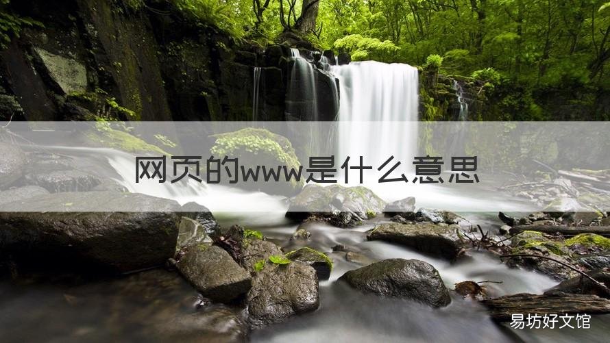 网页的www是什么意思
