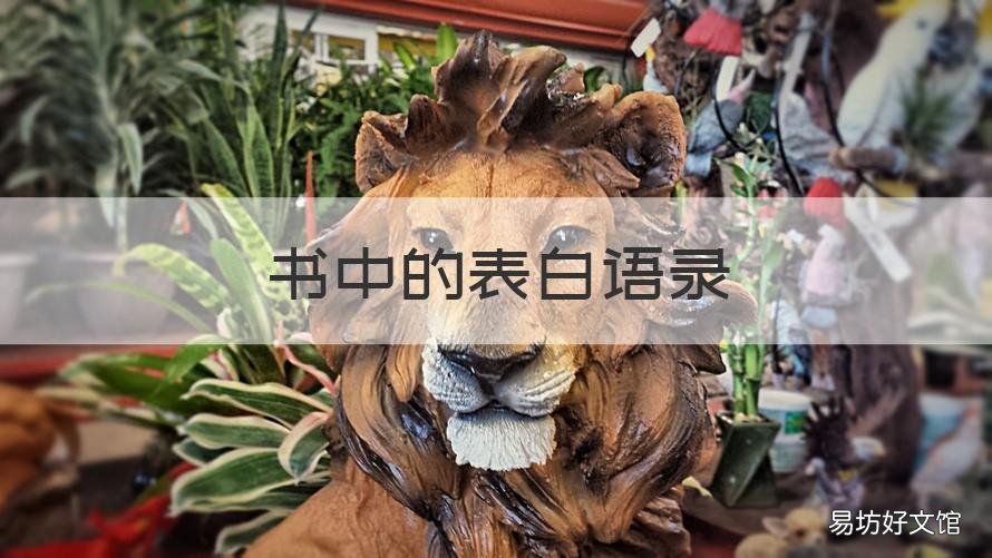 书中的表白语录 小说经典表白语录