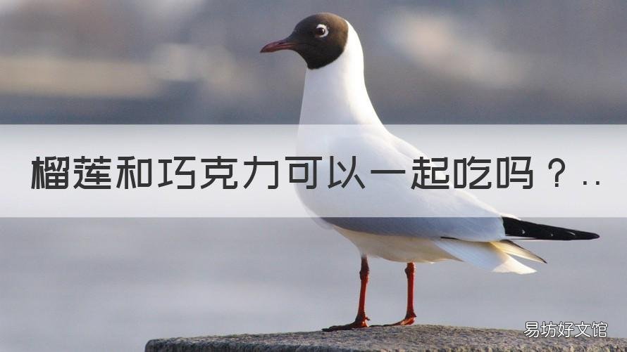 榴莲和巧克力可以一起吃吗 榴莲跟巧克力能不能一起吃