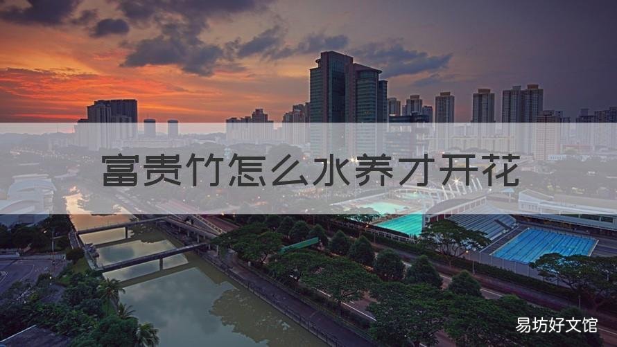 富贵竹怎么水养才开花 富贵竹怎么水养才开花好