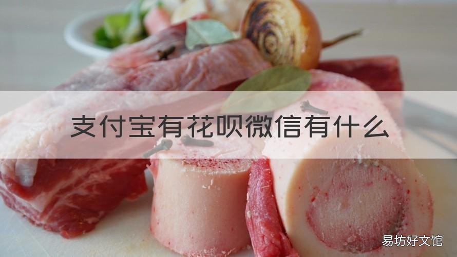 支付宝有花呗微信有什么 支付宝有花呗微信有什么用