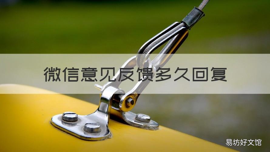 微信意见反馈多久回复 微信怎么意见反馈
