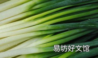 小葱怎么种植变大葱 小葱移栽才能长成大葱吗