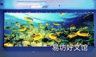 显示屏罩磨花怎么办 显示屏变花