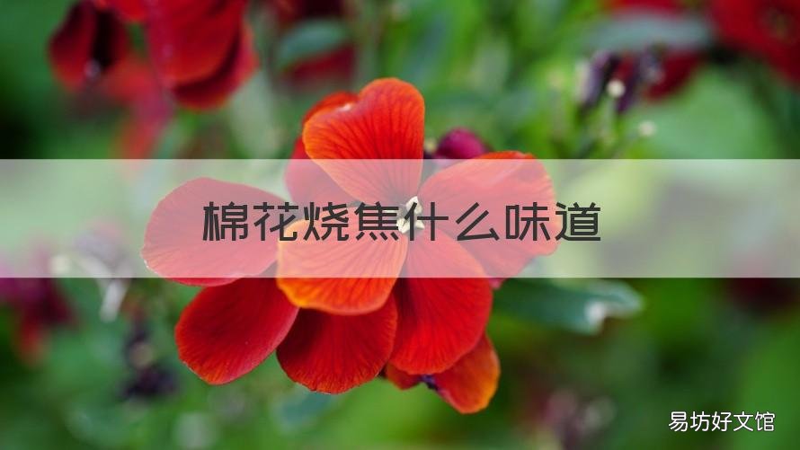 棉花烧焦什么味道 棉纤维烧焦是什么味道