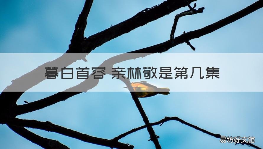 暮白首容婳亲林敬是第几集 暮白首容婳吻林敬脸是第几集