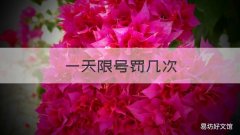 一天限号罚几次 限号违章一天罚几次