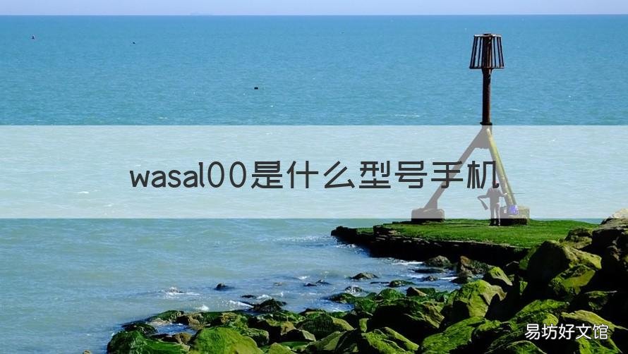 wasal00是什么型号手机 华为手机was一al00是什么型号
