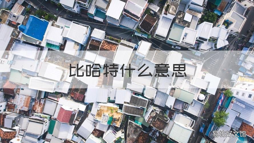 比哈特什么意思 哈比是啥意思