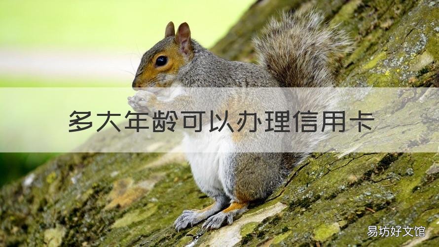 多大年龄可以办理信用卡 多大岁数可以办信用卡