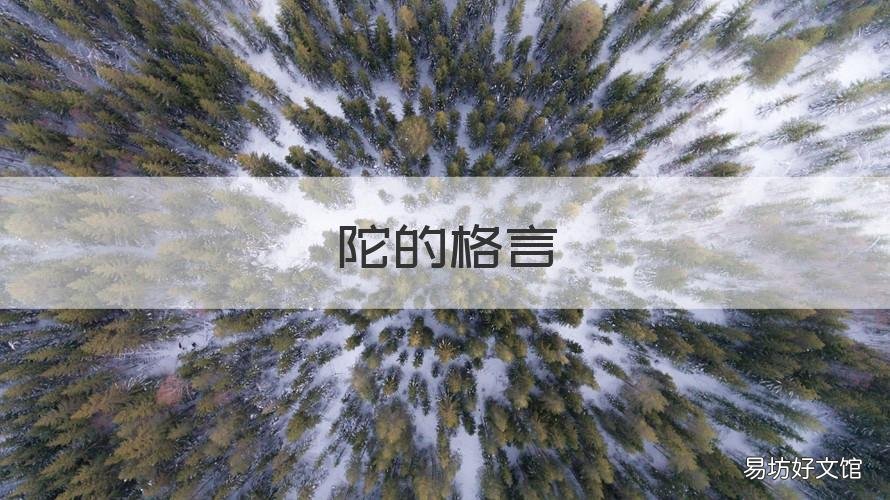 陀的格言 佛陀格言198句