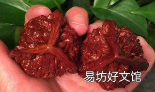 新核桃刷多长时间可以上手 刷核桃刷多少长时间