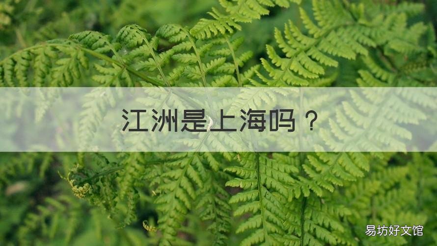 江洲是上海吗