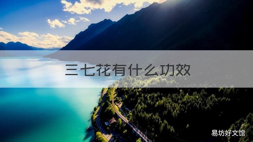 三七花有什么功效 三七花什么功效?