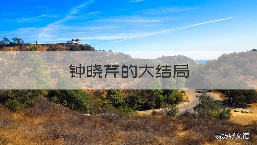 钟晓芹的大结局 钟晓芹的大结局是什么