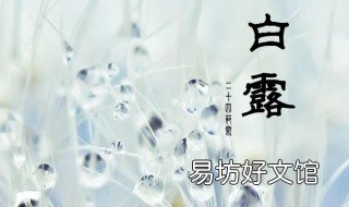 2019年的白露是几点钟 今年白露是几点钟