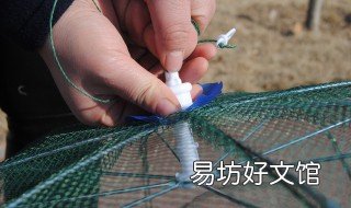 下地笼里边放什么 地笼放什么东西