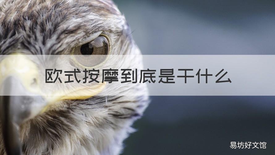 欧式按摩到底是干什么 欧式按摩是怎么个程序