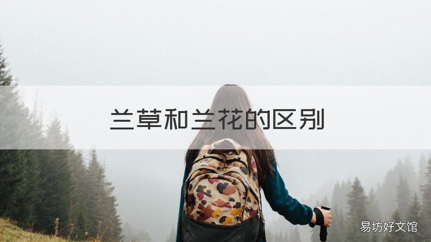 兰草和兰花的区别 兰花和兰草主要有什么区别