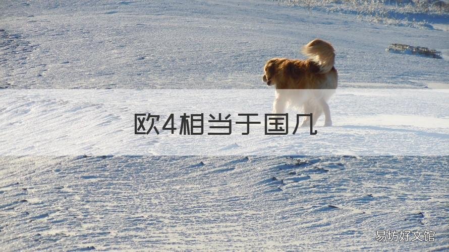 欧4相当于国几 欧4相当于国几迁入