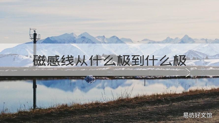 磁感线从什么极到什么极 磁感线外部从什么极到什么极