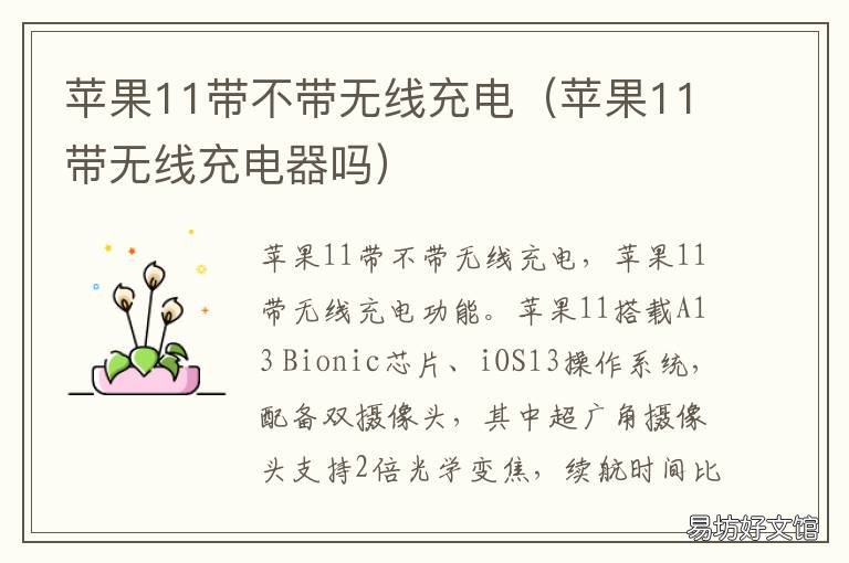 苹果11带不带无线充电 苹果11不可以无线充电吗