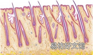 腿囊炎怎么治疗 腿囊炎怎么治疗好得快