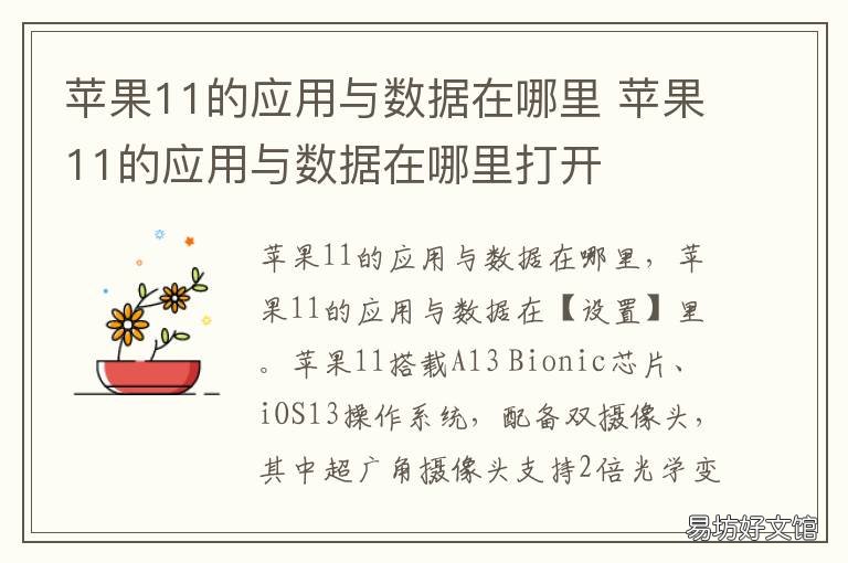 苹果11的应用与数据在哪里 苹果11的应用与数据在哪里打开