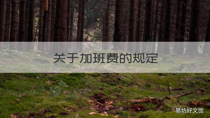 关于加班费的规定 企业关于加班费的规定