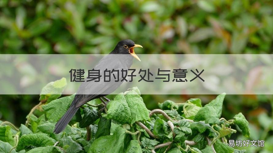 健身的好处与意义 健身有何意义