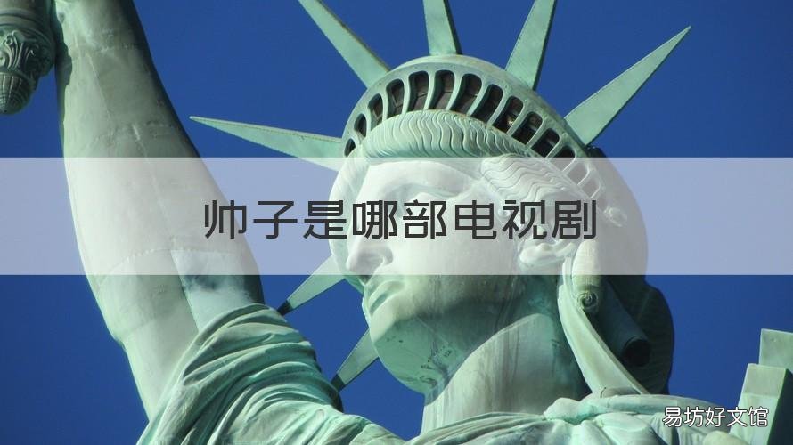 帅子是哪部电视剧 那小子真帅电视剧男主