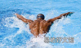 轻松蝶泳的技巧 轻松蝶泳的技巧有哪些