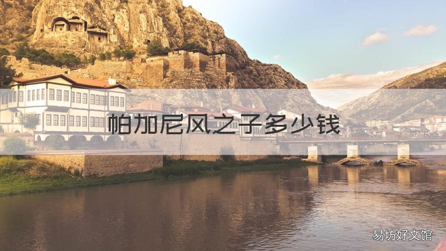 帕加尼风之子多少钱 帕加尼风之子多少钱?