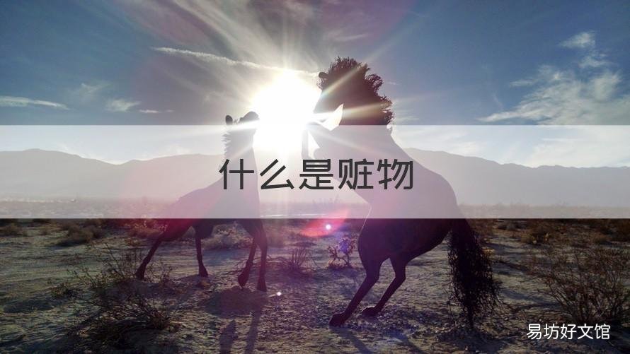 什么是赃物 什么赃物是不需要带到法院的