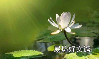 莲花的寓意和象征 九品莲花的寓意和象征