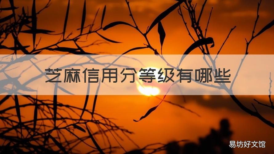 芝麻信用分等级有哪些 芝麻信用有哪几个等级
