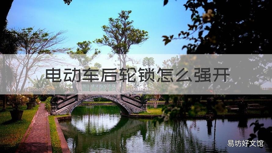 电动车后轮锁怎么强开 电动车后轮锁怎么强开的