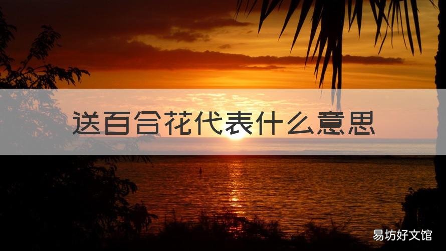 送百合花代表什么意思 送百合花是啥意思
