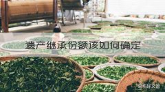 遗产继承份额该如何确定 遗产继承的份额