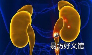 肾结石怎么溶解 肾结石怎么溶解的快