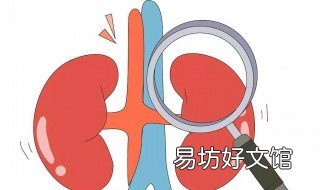 肾缩小了是什么病 肾缩小会引起什么后果